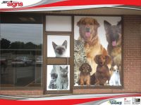 Bayridge_Animal_Hospital_window-800HF